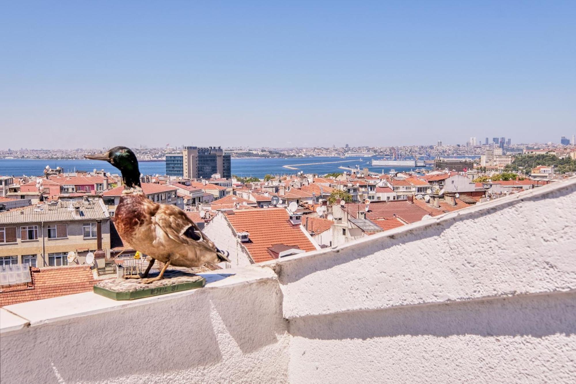 Duck Otel Istanbul Exterior foto